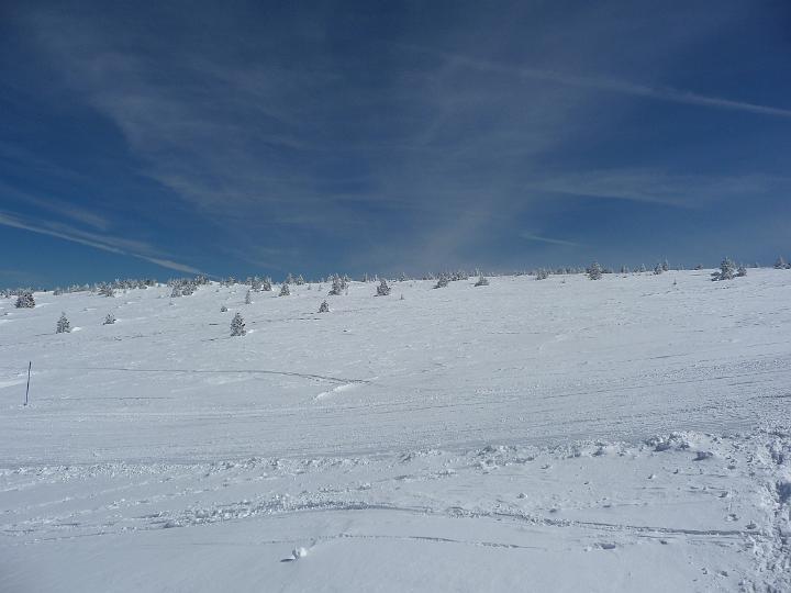 Tarbesou_2010 006.jpg